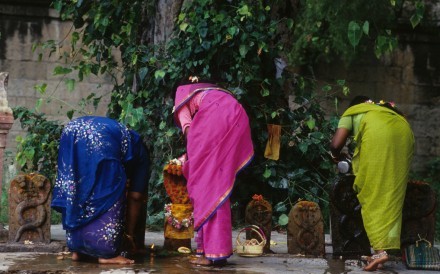 Women At Temple Kerala