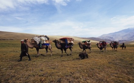 Ger Camel Caravan 9.8 .2006