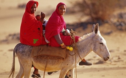 Women On Donkey Al Kab 2