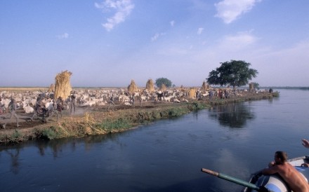 Mandari Cattle Camp Nile Sudan