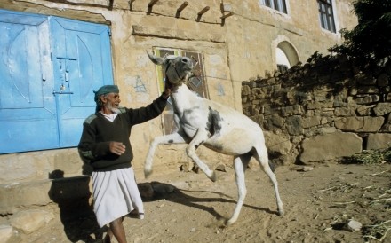 Man With Donkey Thula