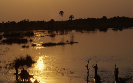 Okavango Delta Sunset