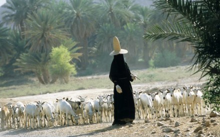 Hawdramat Woman 2 Shibam