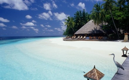Angsana  Maldives