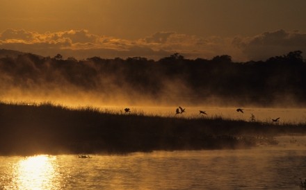 Dawn Kariba