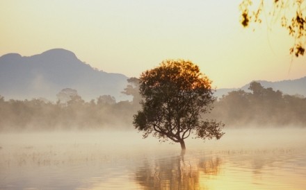 Dawn Lake Kandalama