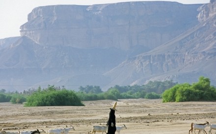 Hawdramat Woman.