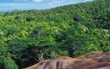 Coloured Earth