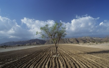 Field Road To Rada