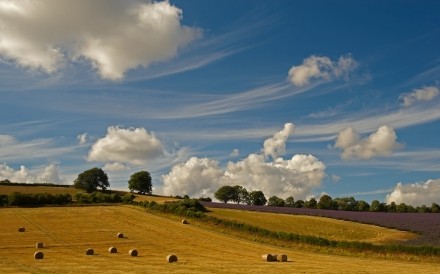 Landscape