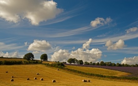 Fields Kent