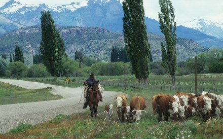 Argentina Patagonia 1