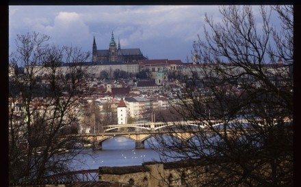 Prague River Scene 5