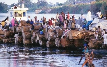 Log Barge Bumba