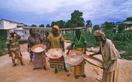 Winnowing 3 Kisangani Drc