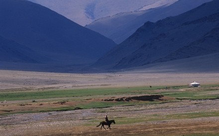 7.8 .2006 Rider Mongolia