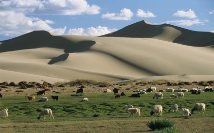 Gobi Dunes 2 28.6 .2006