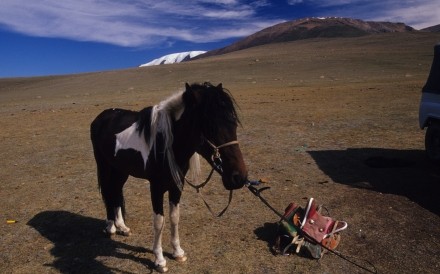 Mongolia 2 2.8 .2006