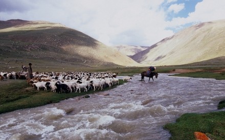 Mongolia 6 3.8 .2006