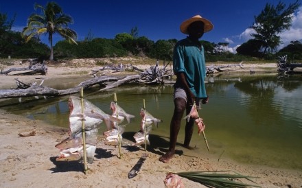 Fisherman 2 Mozambique 17.04