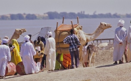 Dongola Ferry