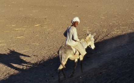 Man On Donkey Nuri Sudan