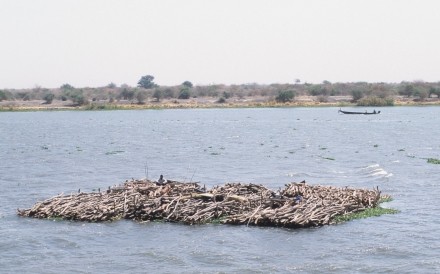 Floating Logs Down Nile Sudan