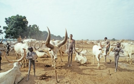 Mandari Cattle Camp South Sudan