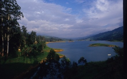 Castlereagh Lake Tea Trails Alamy