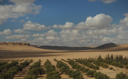 Landscape near Palmyra