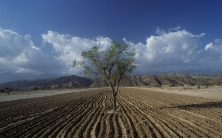 Field Road To Rada