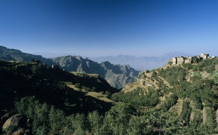 Qat Fields Al Hajarah Yemen