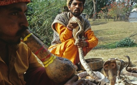 Snake Charmer Pokhara