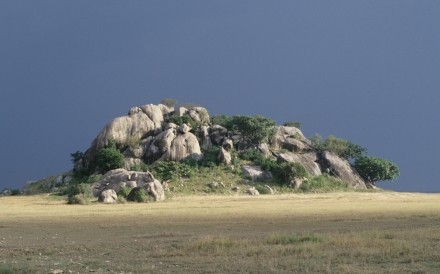 Kopje Serengeti