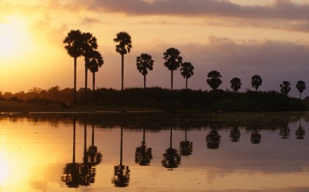 Selous Nat Park