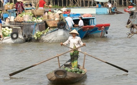 Mekong Delta