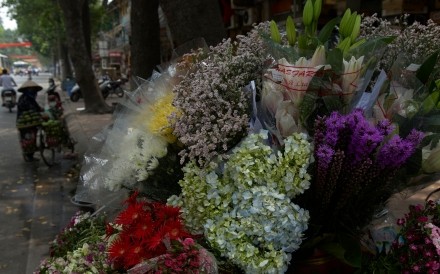 Hanoi Flower Seller