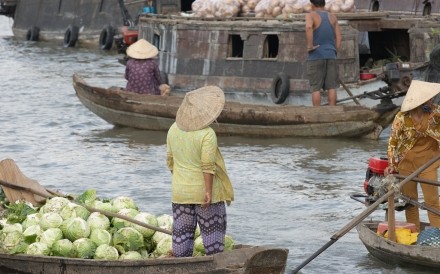 Mekong Delta