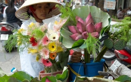 Flower Seller Hanoi