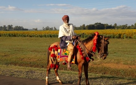 Horseman Ethiopia