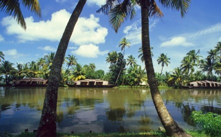 Kerala Backwaters Rice Boats