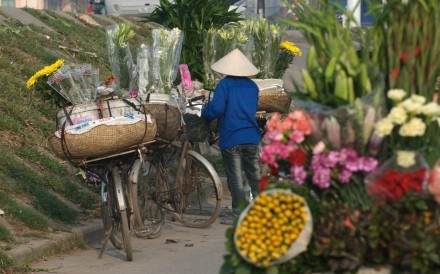 Flower Market Hanoi