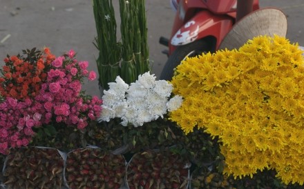 Flower Market Hanoi