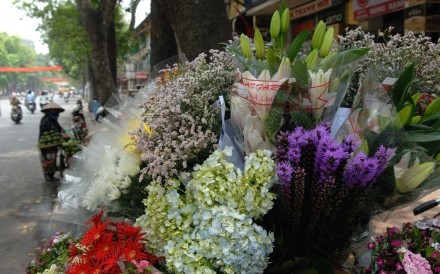 Hanoi Flower Seller