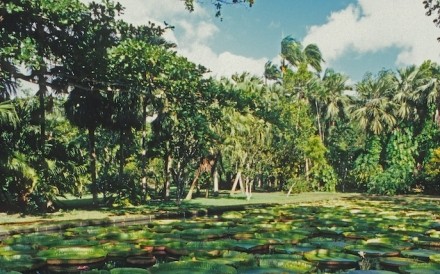 Botanical Gardens