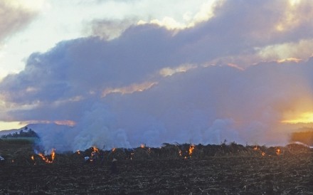 Cane Fields Burning 2 Mauritius