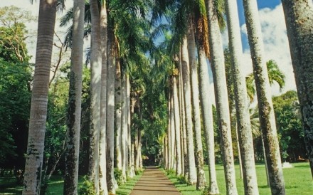 Botanical Gardens