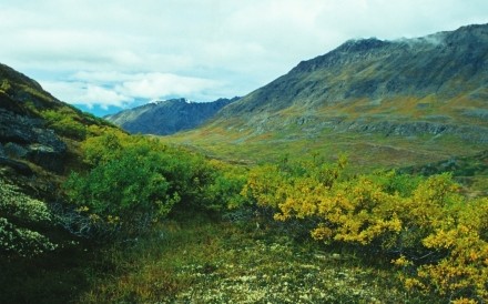 Alaska