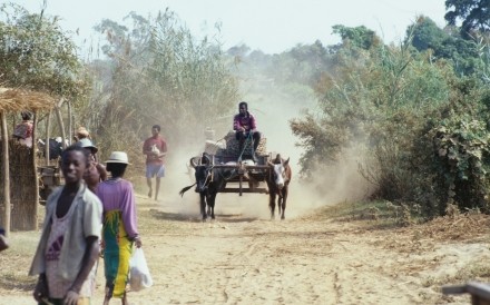 Cart Madagascar