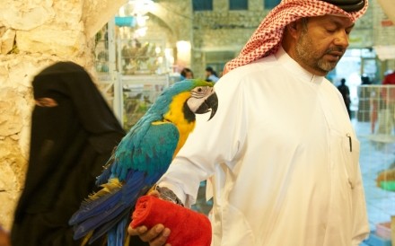 Souq Waqif Doha